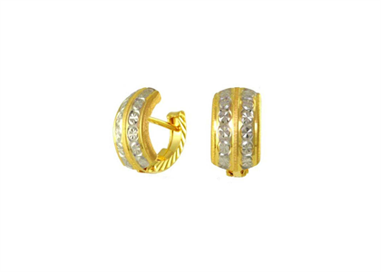 Dual Tone Plated | Fashion Earrings